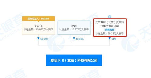 軟件開發(fā) 從概念到實現(xiàn)的旅程
